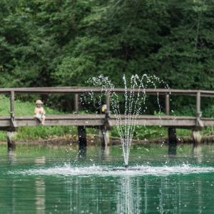 RHP 2618 Series Pond Fountain