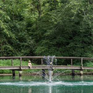 RHP 2618 Series Pond Fountain