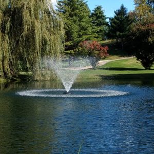 Kasco 4400HJF 1 HP Floating Pond Fountain (240v)