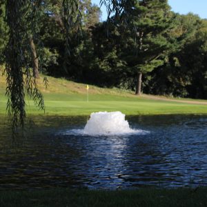 Kasco 8400AF 2 HP Surface Aerator (240V)