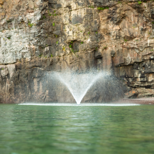 Kasco 4400HVFX 1 HP Display Aerator With C-85 Control Panel (240V)