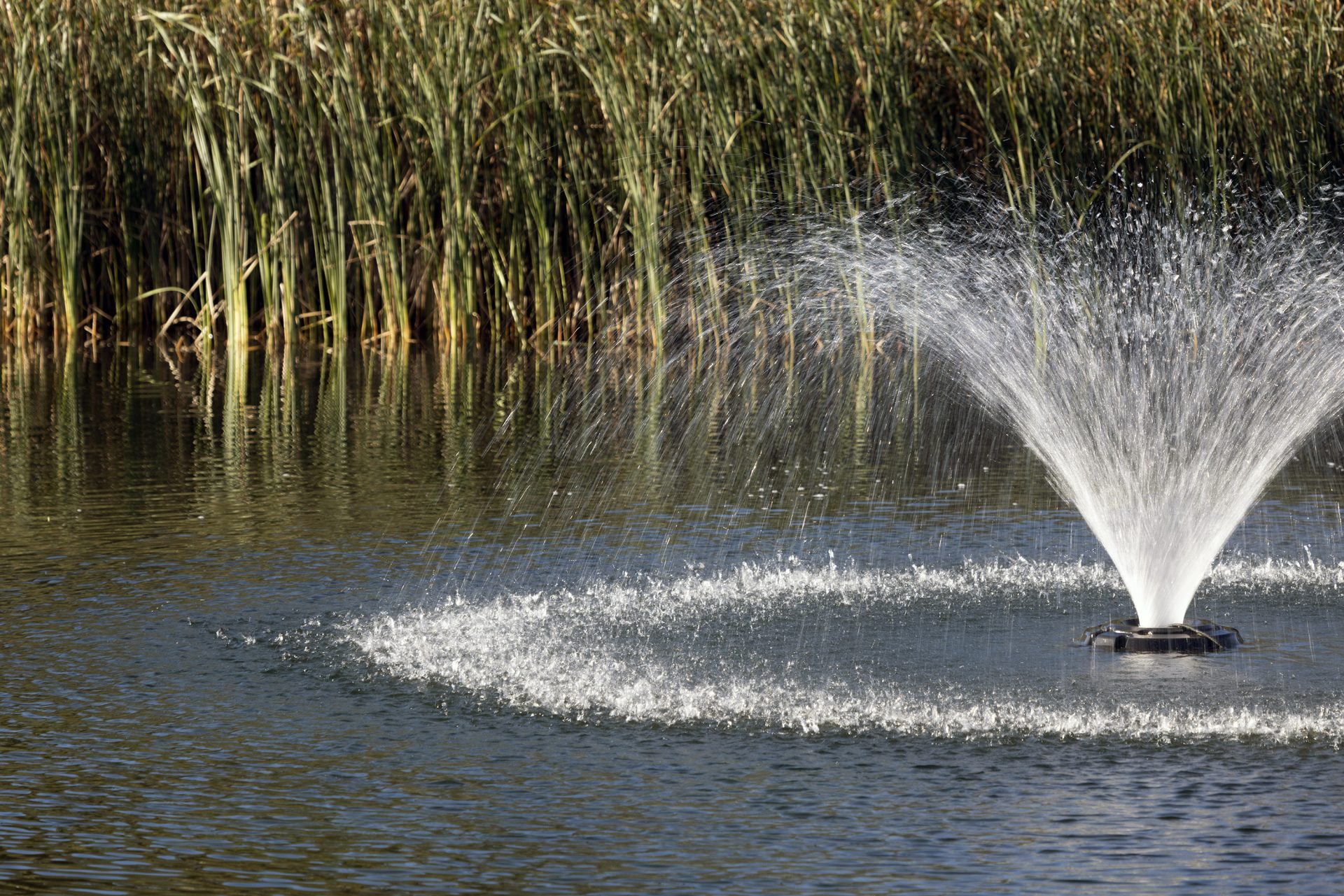 Kasco 3400HVFX 3/4 HP Display Aerator With C-85 Control Panel (240V) - Image 2