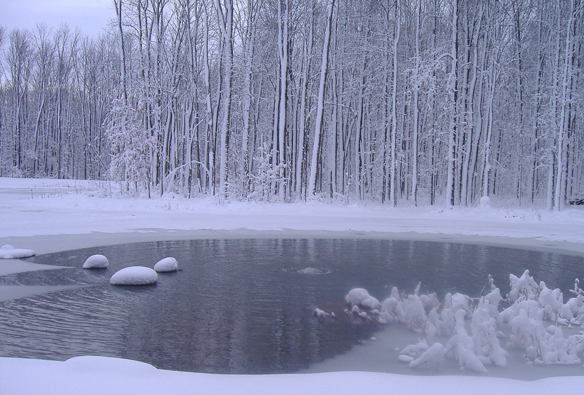 Bottom Pond Aerator in Winter