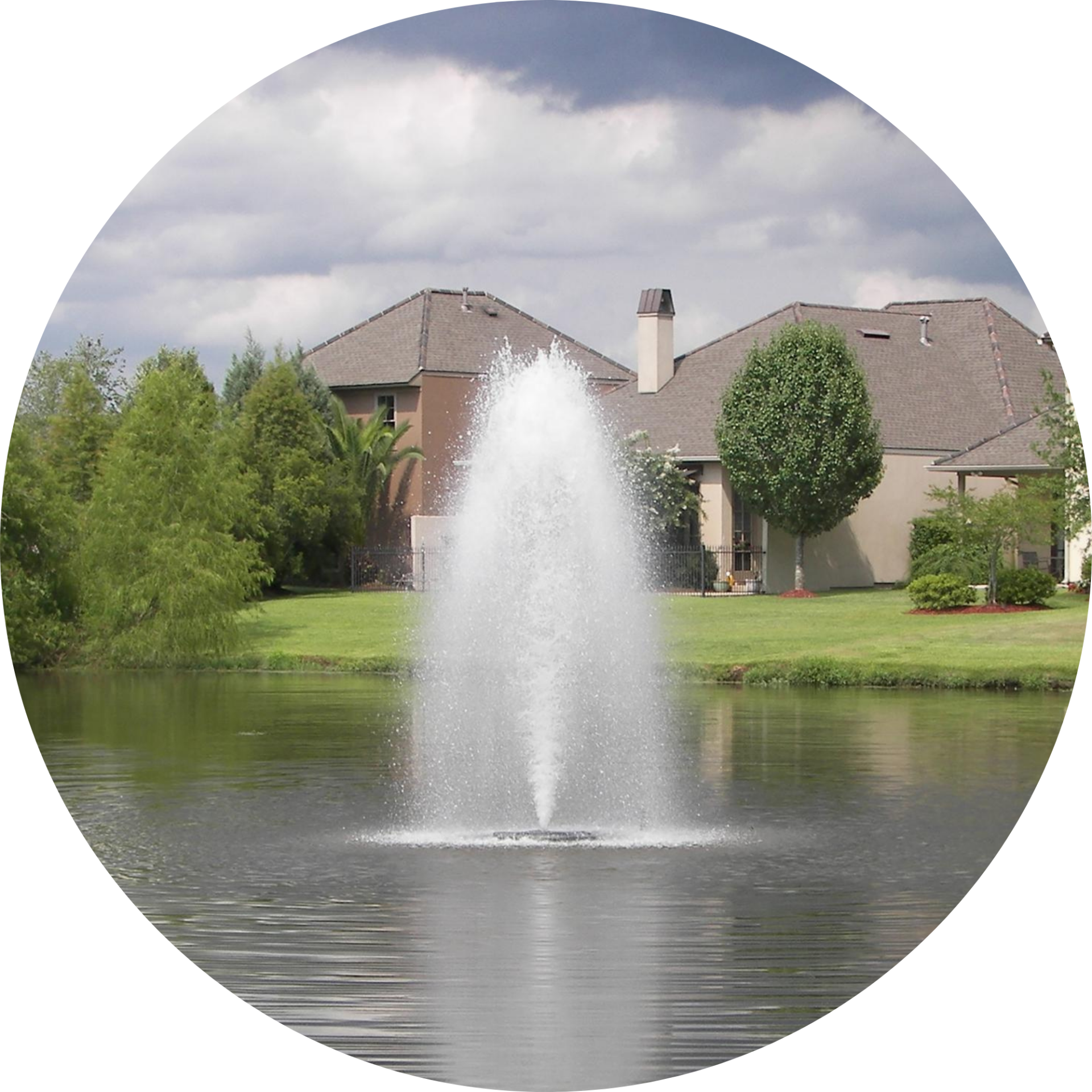 Kasco 3.1JF 3HP Decorative Fountain Birch Nozzle