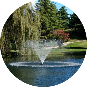 Kasco 4400JF/HJF 1HP Decorative Fountain Willow Nozzle